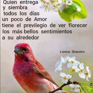 Meet your Posher, Vicky